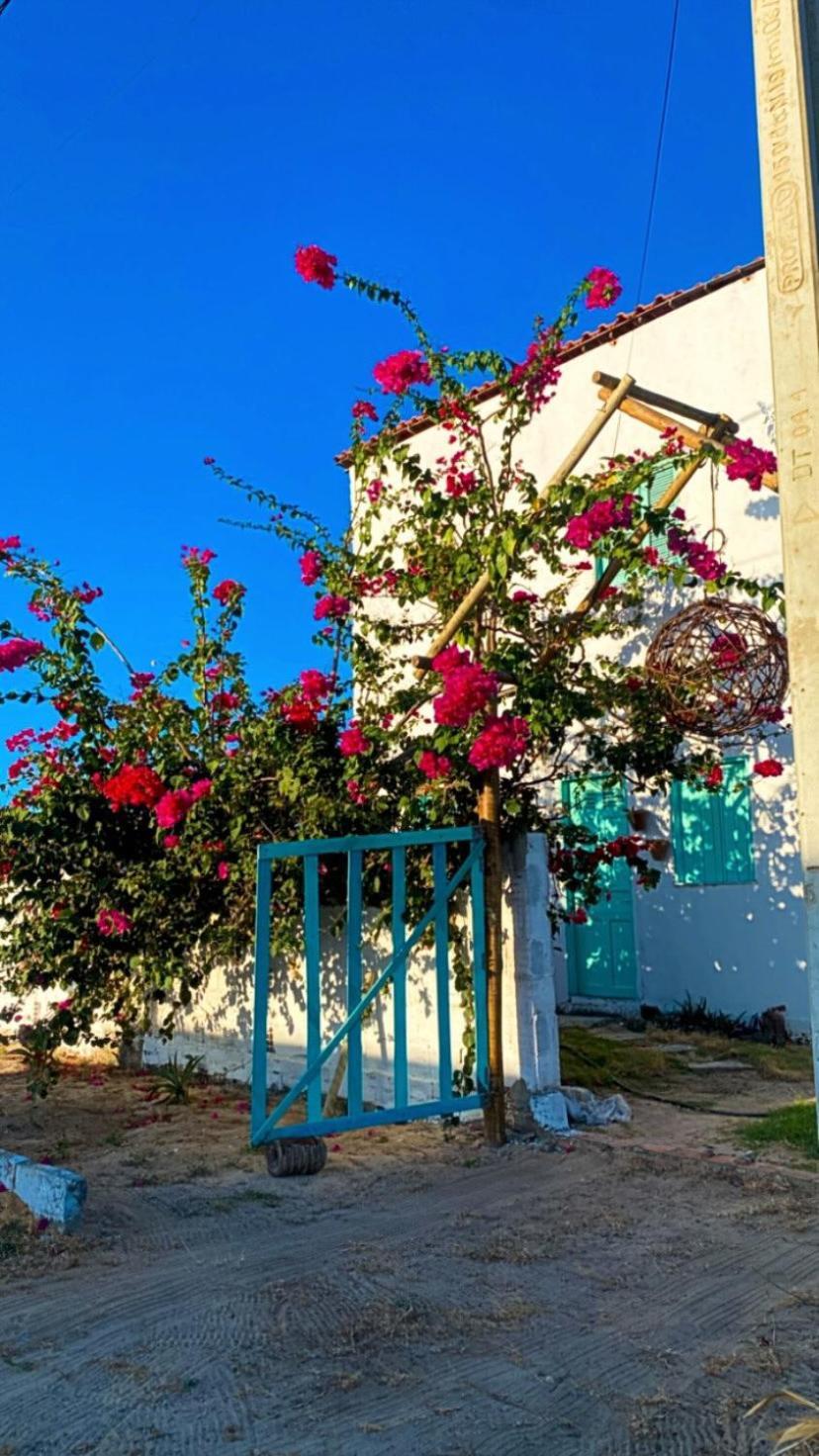 Pousada Casa Verde Canoa Quebrada Kültér fotó